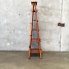 Vintage Bamboo/ Rattan Ladder Shelf