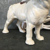 1920's Antique Boston Terrier Cigarette Lighter Product Image