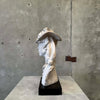 Rodin Sculpture By Austin Productions - 1979 Product Image