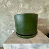 Green Gainey Ceramic With Saucer
