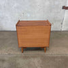 Mid Century Modern Records Cabinet by Lane