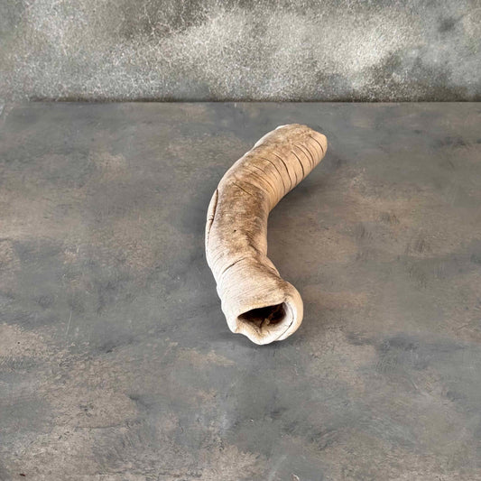 Ceramic Sculpture By Long Beach Artist Cranbrook Alum Josh Friedman