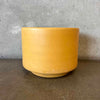 Vintage Mustard Yellow Gainey Ceramics Painter Pot