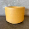 Vintage Mustard Yellow Gainey Ceramics Painter Pot