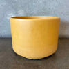 Vintage Mustard Yellow Gainey Ceramics Painter Pot