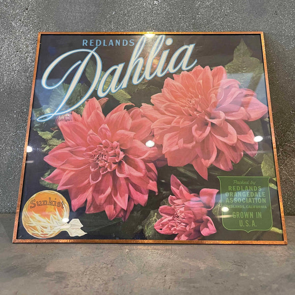 Vintage Fruit Crate Framed Label Redlands, CA - Dahlia