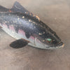 Antique Primitive Hand Painted Fish Decoy Circa 1940 Product Image