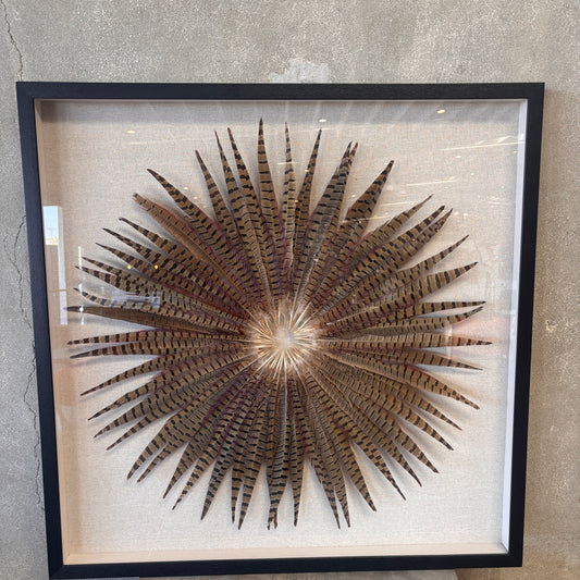 Framed Pheasant Feathers