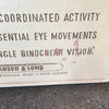 Vintage Eye Muscles Chart by Bausch & Lomb