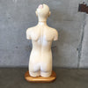 Vintage Medical Anatomical Model by Denoyer Geppert