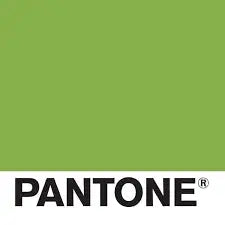 2017 Color of the Year