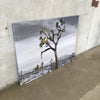 Signed Joshua Tree Acrylic On Canvas
