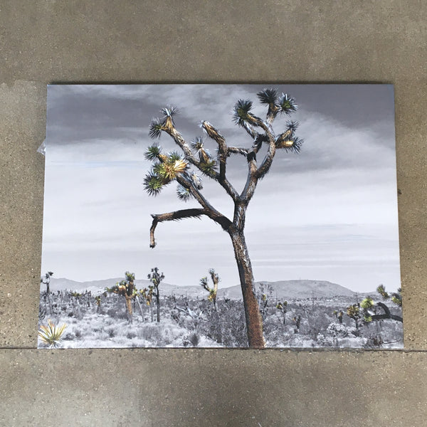 Signed Joshua Tree Acrylic On Canvas
