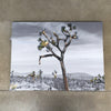 Signed Joshua Tree Acrylic On Canvas