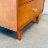 1950's George Nelson for Herman Miller Low Boy