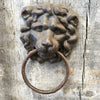 Restoration Hardware Leo Salvaged Wood & Metal Planter