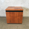 Vintage Janis Subwoofer With Walnut Wood