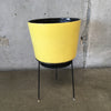 Yellow Gainey Style w/Mid Century Atomic Stand