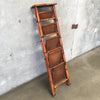 Vintage Bamboo/ Rattan Ladder Shelf