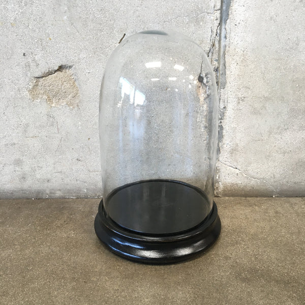 Large Blown Glass Cloche Dome with Wood Base