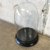 Large Blown Glass Cloche Dome with Wood Base