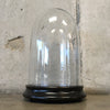 Large Blown Glass Cloche Dome with Wood Base