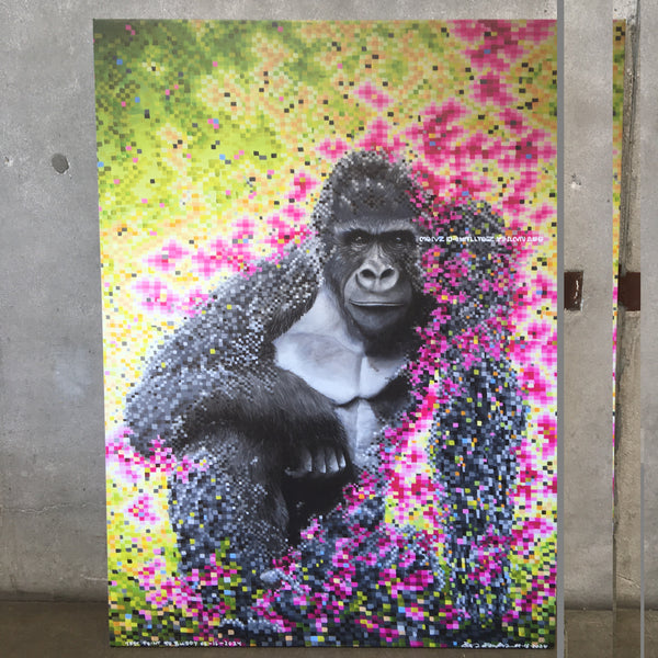 "Sky The Gorilla" Giclee Print On Canvas By Bert Esenherz