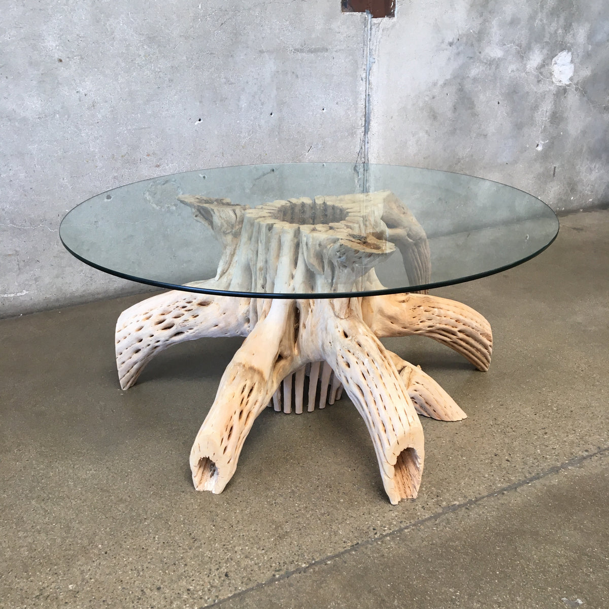 Saguaro Skeleton Coffee Table