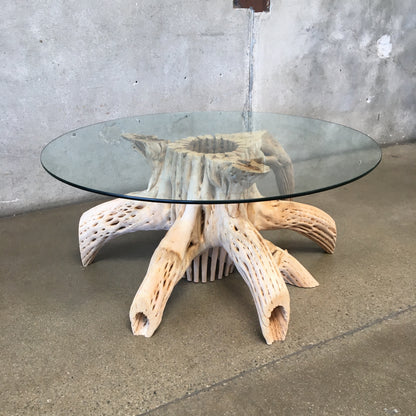 Saguaro Skeleton Coffee Table