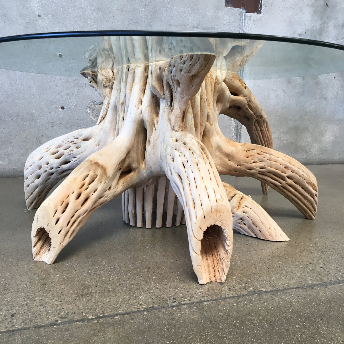Saguaro Skeleton Coffee Table