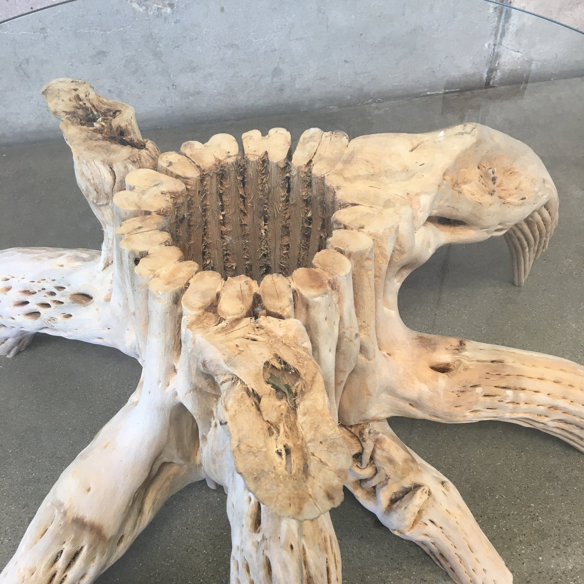 Saguaro Skeleton Coffee Table