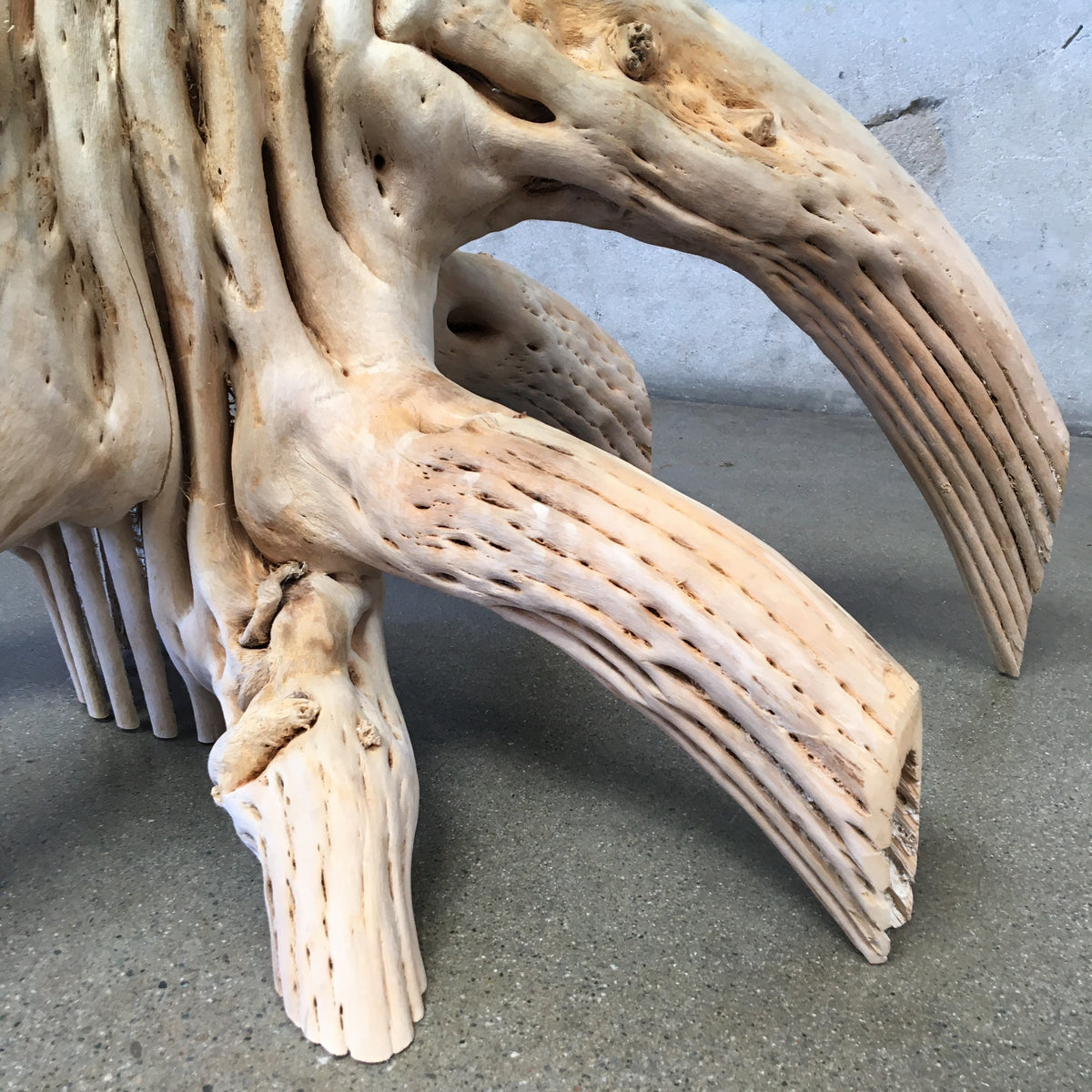 Saguaro Skeleton Coffee Table