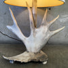 Vintage Antler Lamp