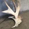 Vintage Antler Lamp