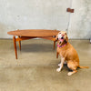 Mid Century Danish Teak Surfboard Coffee Cocktail Table