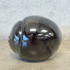 Salviati Italian Murano Snail Art Glass