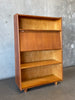 Mid Century Cees Braakman For Pastoe Bookcase