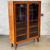 Danish Rosewood Lighted Curio Cabinet by Paul Hundevad