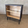 Mid Century Modern Cabinet with Glass Sliding Doors