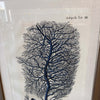 Indigo Coral Framed Print