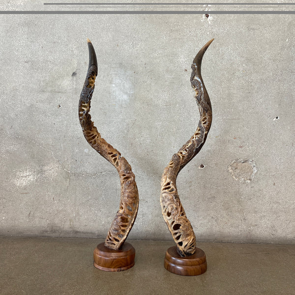 Pair Of African Kudu Horns