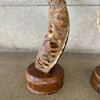 Pair Of African Kudu Horns