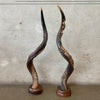 Pair Of African Kudu Horns