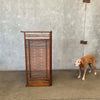 Vintage Japanese Room Divider / Screen