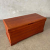 Vintage Handcrafted Solid Teakwood Chest