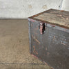 Old Green Trunk