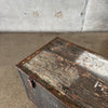 Old Green Trunk