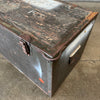 Old Green Trunk
