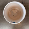 Gainey Tall White Garden Pot - AS IS -