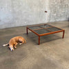 Mid Century Walnut & Smoked Glass Coffee Table